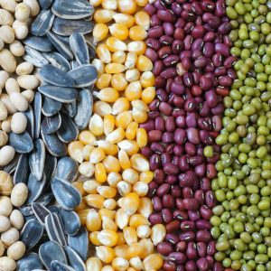 Avtomatik toxum qablaşdırma maşını